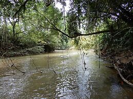 Grand Selva Lodge & Tours