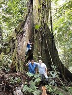 Grand Selva Lodge & Tours