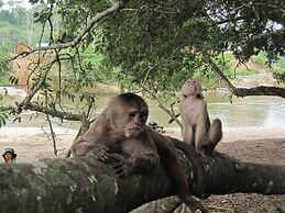 Grand Selva Lodge & Tours