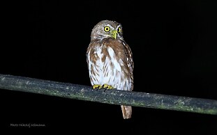 Grand Selva Lodge & Tours