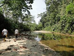 Grand Selva Lodge & Tours