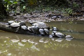 Grand Selva Lodge & Tours