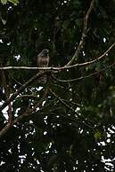 Grand Selva Lodge & Tours