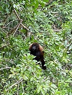 Grand Selva Lodge & Tours