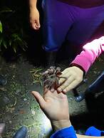 Grand Selva Lodge & Tours