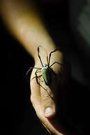 Grand Selva Lodge & Tours