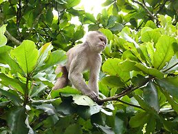 Grand Selva Lodge & Tours