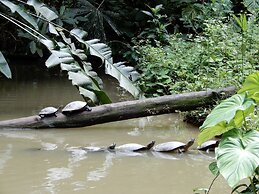 Grand Selva Lodge & Tours