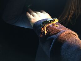 Grand Selva Lodge & Tours