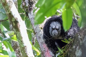 Grand Selva Lodge & Tours