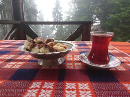 Demircioglu Pokut Dag Evi