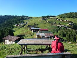 Demircioglu Pokut Dag Evi