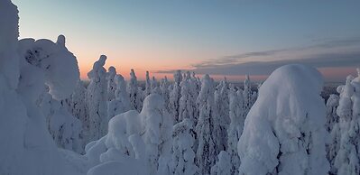 Vanhan Koulun Majatalo