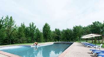 La Collina dei Ciliegi