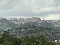 La Collina dei Ciliegi