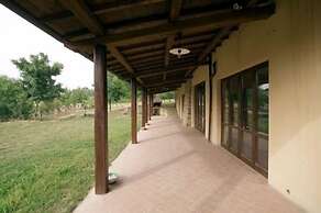 La Collina dei Ciliegi