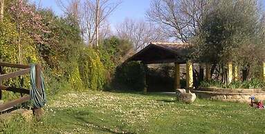 La Collina dei Ciliegi