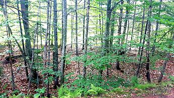 Fraternité-sur-Lac by Location ADP