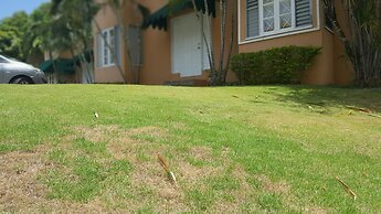 The Ravina Corporate Suites