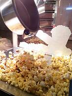 DesaTebrau NewStar Homestay - Wedding Bridal House