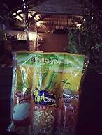 DesaTebrau NewStar Homestay - Wedding Bridal House