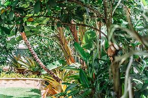 Balmoral Queenslander