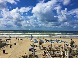 B&B Little Miss Sunshine