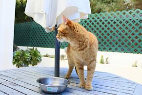 BeGuest Gandarinha Apartment