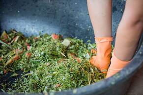 Sappraiwan Elephant Resort & Sanctuary