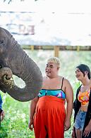 Sappraiwan Elephant Resort & Sanctuary