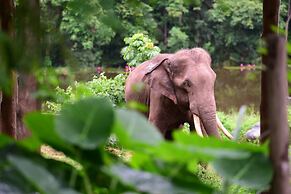 Sappraiwan Elephant Resort & Sanctuary