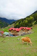 Oberj Hotel