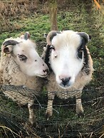 Elm Tree Farm Bed & Breakfast