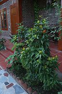 Thanh Dat Homestay