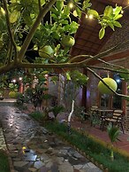Thanh Dat Homestay
