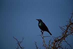 Burlington Bush Cottages