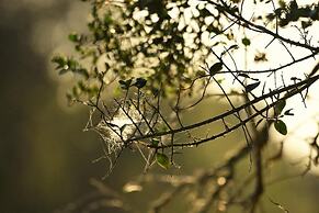 Burlington Bush Cottages