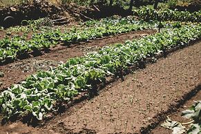 Las Cumbres Eco-Hotel Termalismo y Spa