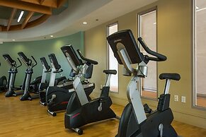 Ala Moana Hotelcondo by Luana Vacation Rental