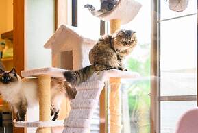 Yufuin Waraneko no Yado