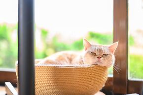 Yufuin Waraneko no Yado