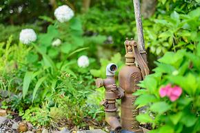 Yufuin Waraneko no Yado