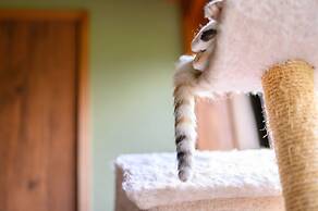 Yufuin Waraneko no Yado