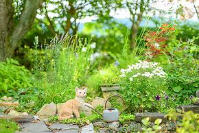 Yufuin Waraneko no Yado