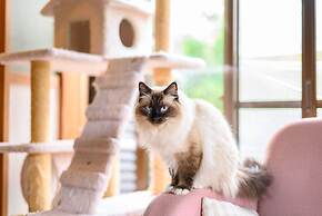 Yufuin Waraneko no Yado