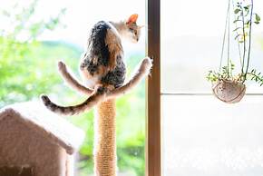 Yufuin Waraneko no Yado