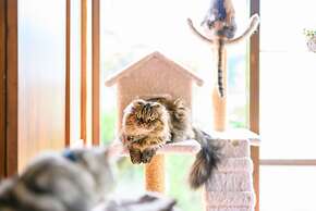 Yufuin Waraneko no Yado