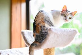 Yufuin Waraneko no Yado