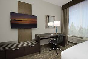 Holiday Inn Express & Suites Lake Charles South Casino Area by IHG