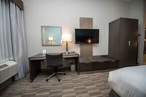 Holiday Inn Express & Suites Lake Charles South Casino Area by IHG